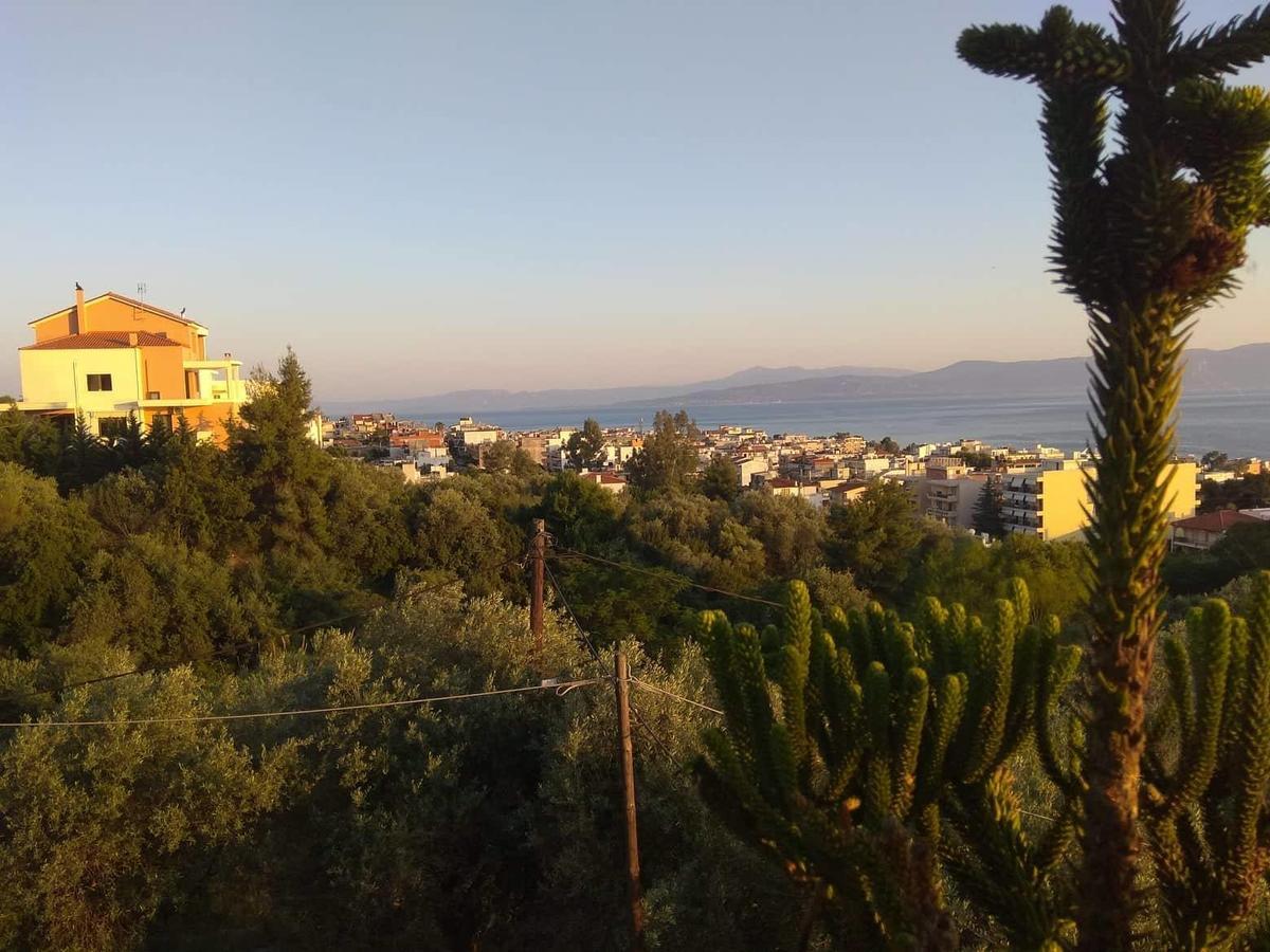 Apanemo Studios Λουτρά Αιδηψού Εξωτερικό φωτογραφία