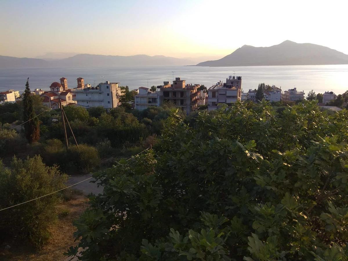 Apanemo Studios Λουτρά Αιδηψού Εξωτερικό φωτογραφία